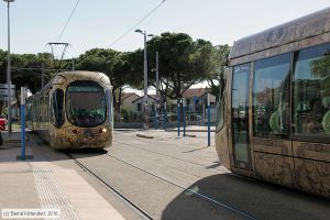 Bild: montpellier2044_bk1608060120.jpg - anklicken zum Vergrößern