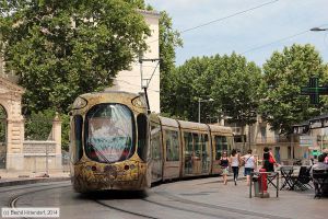 Bild: montpellier2045_bk1406270154.jpg - anklicken zum Vergrößern Bild: montpellier2045_bk1406270154.jpg - anklicken zum Vergrößern