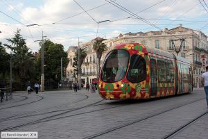Bild: montpellier2049_bk1406250510.jpg - anklicken zum Vergrößern