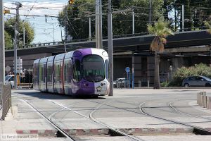 Bild: montpellier2049_bk1608050057.jpg - anklicken zum Vergrößern
