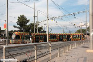 Bild: montpellier2052_bk1406260424.jpg - anklicken zum Vergrößern