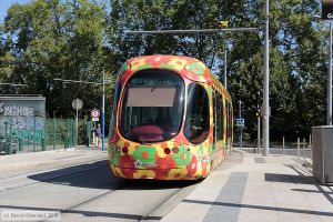 Bild: montpellier2052_bk1608050003.jpg - anklicken zum Vergrößern