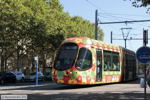 Bild: montpellier2052_bk1608060090.jpg - anklicken zum Vergrößern