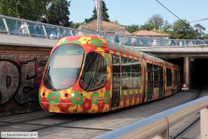 Bild: montpellier2055_bk1406250434.jpg - anklicken zum Vergrößern Bild: montpellier2055_bk1406250434.jpg - anklicken zum Vergrößern