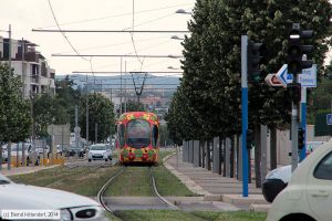 Bild: montpellier2059_bk1406250328.jpg - anklicken zum Vergrößern
