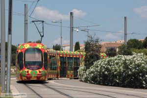 Bild: montpellier2063_bk1406260181.jpg - anklicken zum Vergrößern Bild: montpellier2063_bk1406260181.jpg - anklicken zum Vergrößern