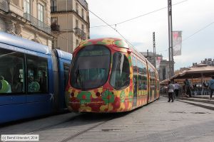 Bild: montpellier2064_bk1406250393.jpg - anklicken zum Vergrößern Bild: montpellier2064_bk1406250393.jpg - anklicken zum Vergrößern