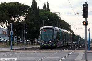Bild: montpellier2073_bk1406240250.jpg - anklicken zum Vergrößern