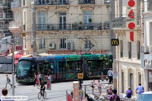 Bild: montpellier2074_bk1406250228.jpg - anklicken zum Vergrößern Bild: montpellier2074_bk1406250228.jpg - anklicken zum Vergrößern