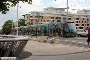 Bild: montpellier2077_bk1406250124.jpg - anklicken zum Vergrößern