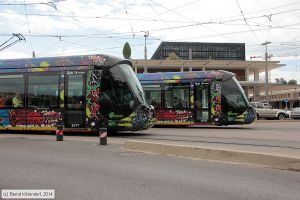 Bild: montpellier2077_bk1406250125.jpg - anklicken zum Vergrößern Bild: montpellier2077_bk1406250125.jpg - anklicken zum Vergrößern