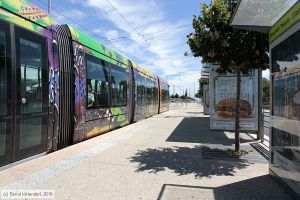 Bild: montpellier2082_bk1608060050.jpg - anklicken zum Vergrößern