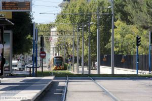 Bild: montpellier2095_bk1608050027.jpg - anklicken zum Vergrößern