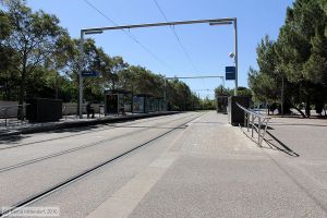 Bild: montpellieranlagen_bk1608070015.jpg - anklicken zum Vergrößern Bild: montpellieranlagen_bk1608070015.jpg - anklicken zum Vergrößern