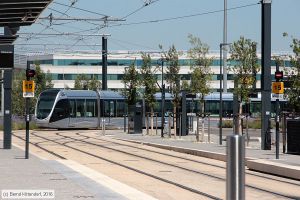 Bild: toulouse5013_bk1607190179.jpg - anklicken zum Vergrößern