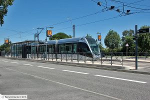 Bild: toulouse5015_bk1607180063.jpg - anklicken zum Vergrößern Bild: toulouse5015_bk1607180063.jpg - anklicken zum Vergrößern