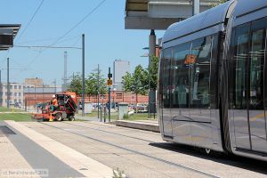 Bild: toulouse5026_bk1607180093.jpg - anklicken zum Vergrößern