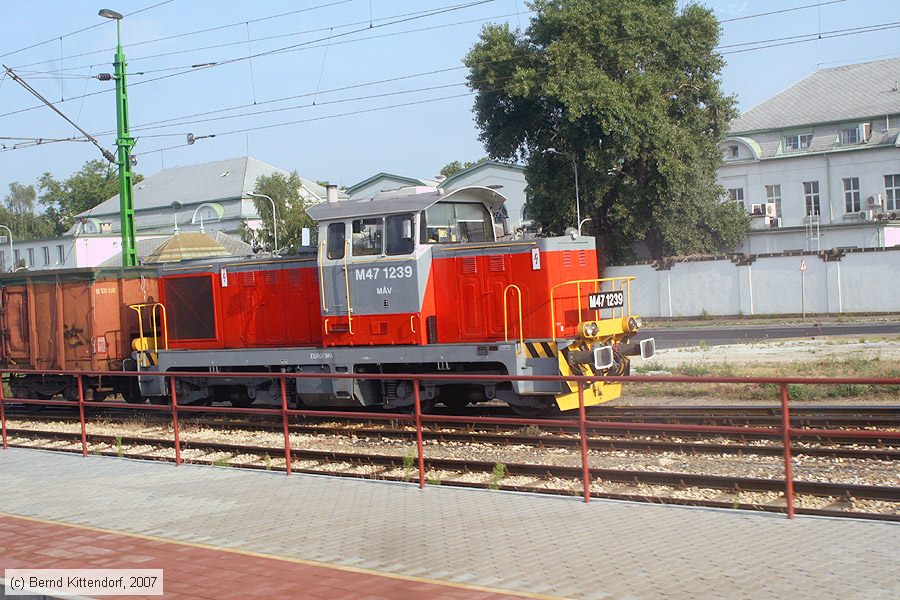 MAV - M47 1239
/ Bild: mavm471239_bk0708090050.jpg