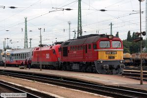 Bild: mavm62230_bk0809200189.jpg - anklicken zum Vergrößern