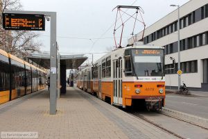 Bild: budapest4078_bk1703010204.jpg - anklicken zum Vergrößern