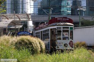 Bild: milano1879_bk1908270047.jpg - anklicken zum Vergrößern