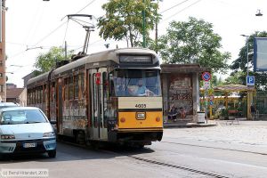 Bild: milano4605_bk1808060188.jpg - anklicken zum Vergrößern