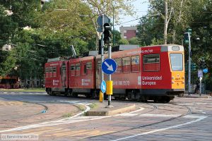 Bild: milano4971_bk1908260241.jpg - anklicken zum Vergrößern