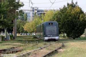 Bild: milano7009_bk1908270283.jpg - anklicken zum Vergrößern