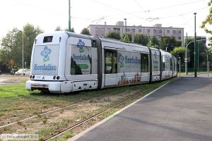 Bild: milano7016_bk1908270277.jpg - anklicken zum Vergrößern