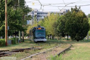Bild: milano7026_bk1908270302.jpg - anklicken zum Vergrößern