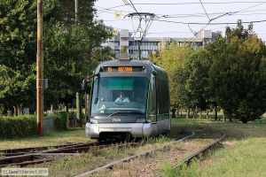 Bild: milano7026_bk1908270303.jpg - anklicken zum Vergrößern