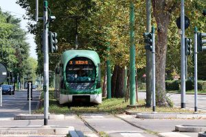Bild: milano7117_bk1808070019.jpg - anklicken zum Vergrößern