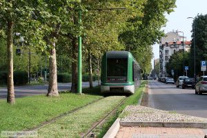 Bild: milano7139_bk1908260031.jpg - anklicken zum Vergrößern