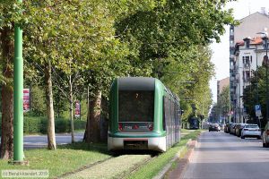 Bild: milano7145_bk1908260034.jpg - anklicken zum Vergrößern