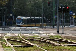 Bild: milano7519_bk1908260292.jpg - anklicken zum Vergr&ouml;&szlig;ern