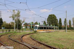Bild: milano7617_bk1908270203.jpg - anklicken zum Vergrößern