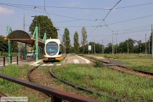 Bild: milano7617_bk1908270205.jpg - anklicken zum Vergrößern