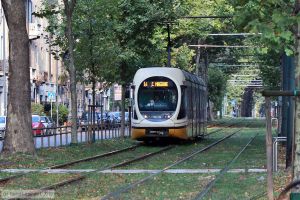 Bild: milano7629_bk1908260288.jpg - anklicken zum Vergr&ouml;&szlig;ern