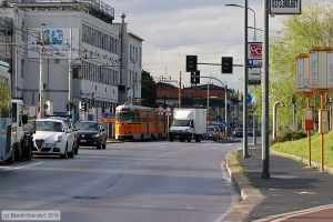Bild: milano552_bk1804100472.jpg - anklicken zum Vergrößern Bild: milano552_bk1804100472.jpg - anklicken zum Vergrößern