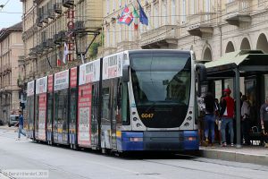 Bild: torino6047_bk1908280199.jpg - anklicken zum Vergrößern