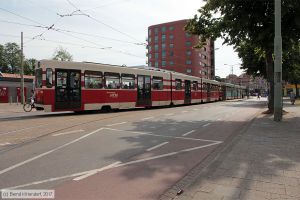 Bild: denhaag3071_bk1706210294.jpg - anklicken zum Vergrößern