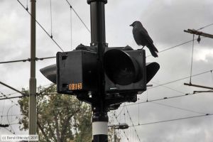 Bild: denhaaganlagen_bk1611030154.jpg - anklicken zum Vergrößern Bild: denhaaganlagen_bk1611030154.jpg - anklicken zum Vergrößern