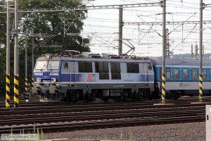 Bild: pkpep09016_bk1708080599.jpg - anklicken zum Vergrößern