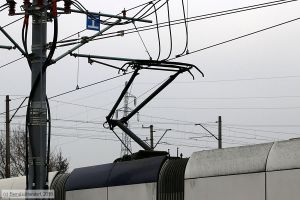 Bild: szczecin818_bk1803050191.jpg - anklicken zum Vergrößern