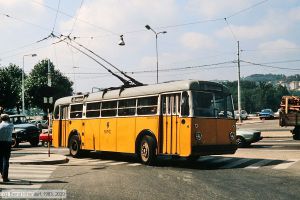 Bild: coimbra47_ds078605.jpg - anklicken zum Vergrößern