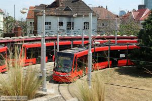 Bild: bratislava7515_bk1907260194.jpg - anklicken zum Vergrößern
